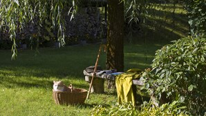 A garden with a tree, a bench, and a basket with a cat. - Hôtel Auberge du Morge (Les Echelles)