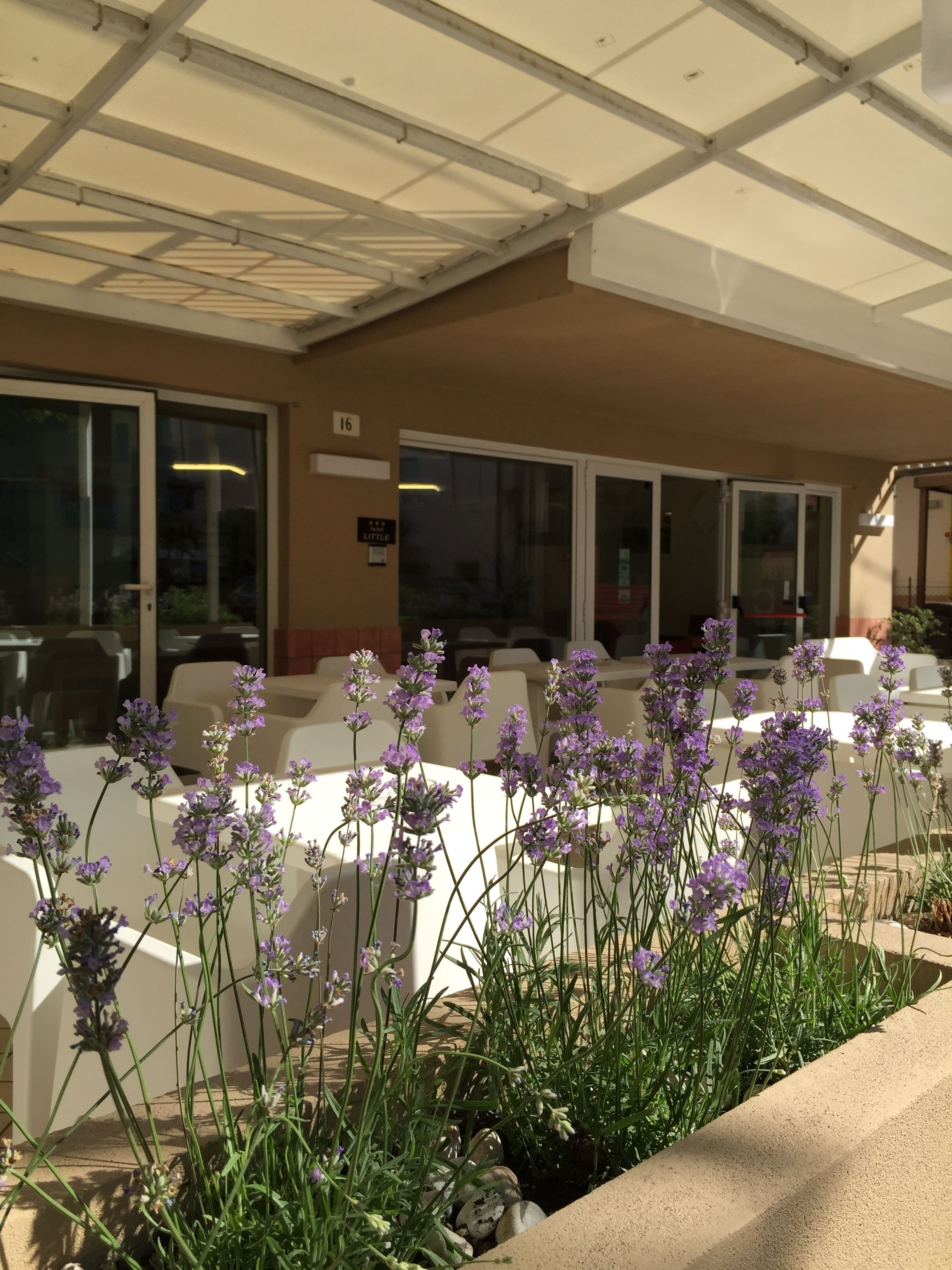 Entrada de la propiedad