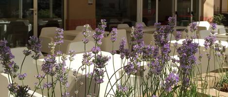 Entrada de la propiedad