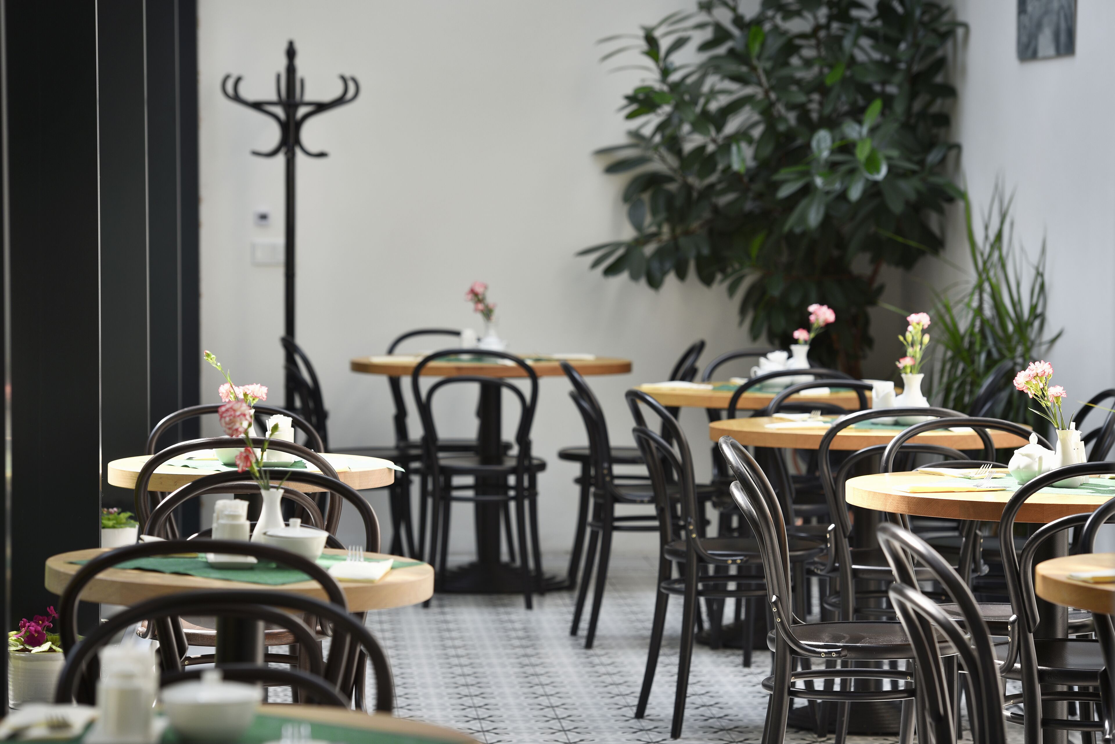 Foto - Hotel At the White Lily