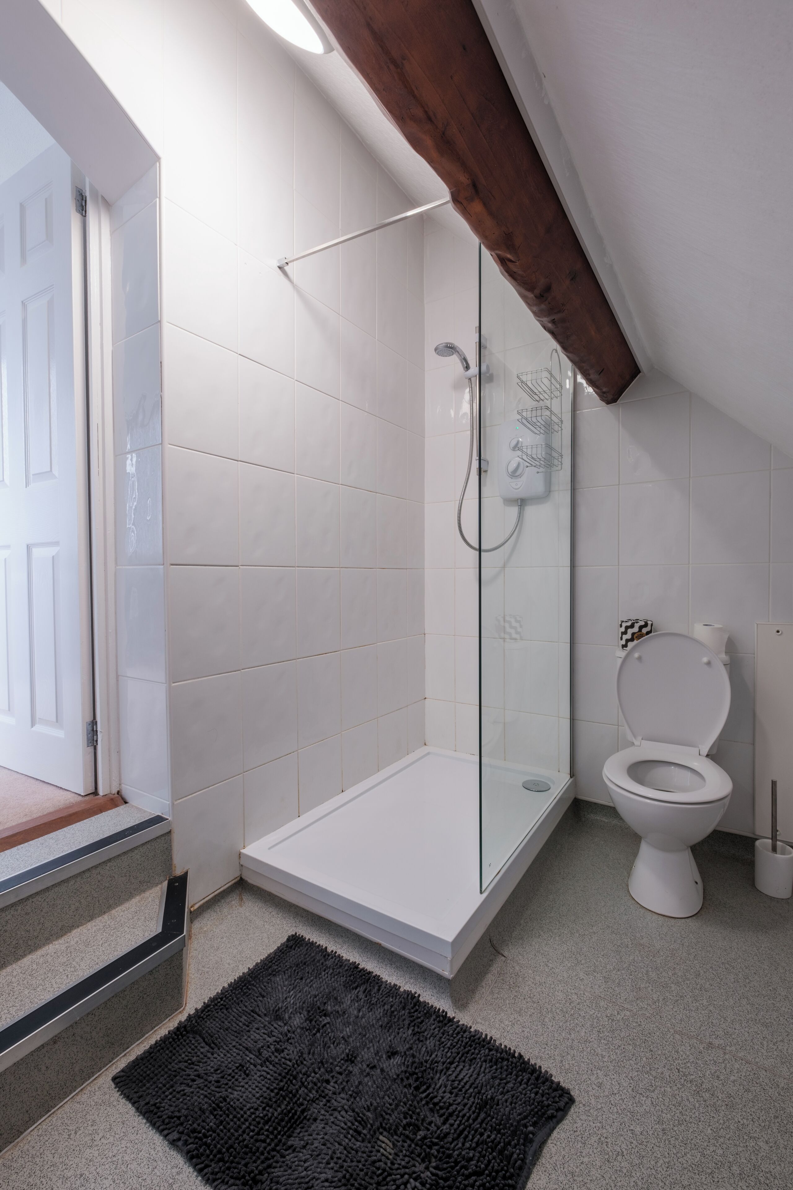 A modern bathroom with a glass-enclosed shower, a white toilet, and a black rug on the floor.