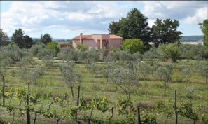 Property grounds - Agriturismo il Marrugio (Viterbo)