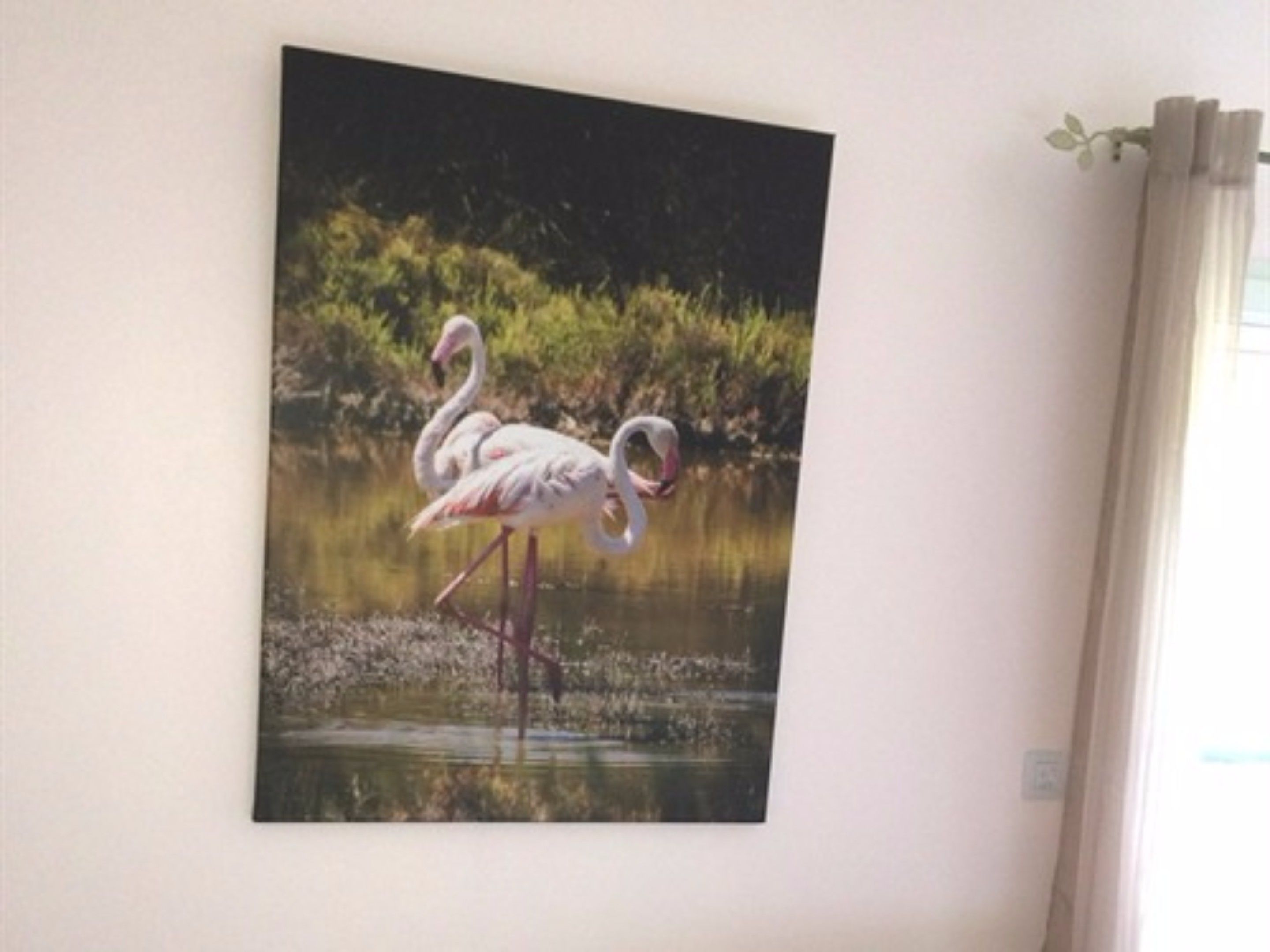 Un tableau représentant un flamant rose près d’une étendue d’eau.