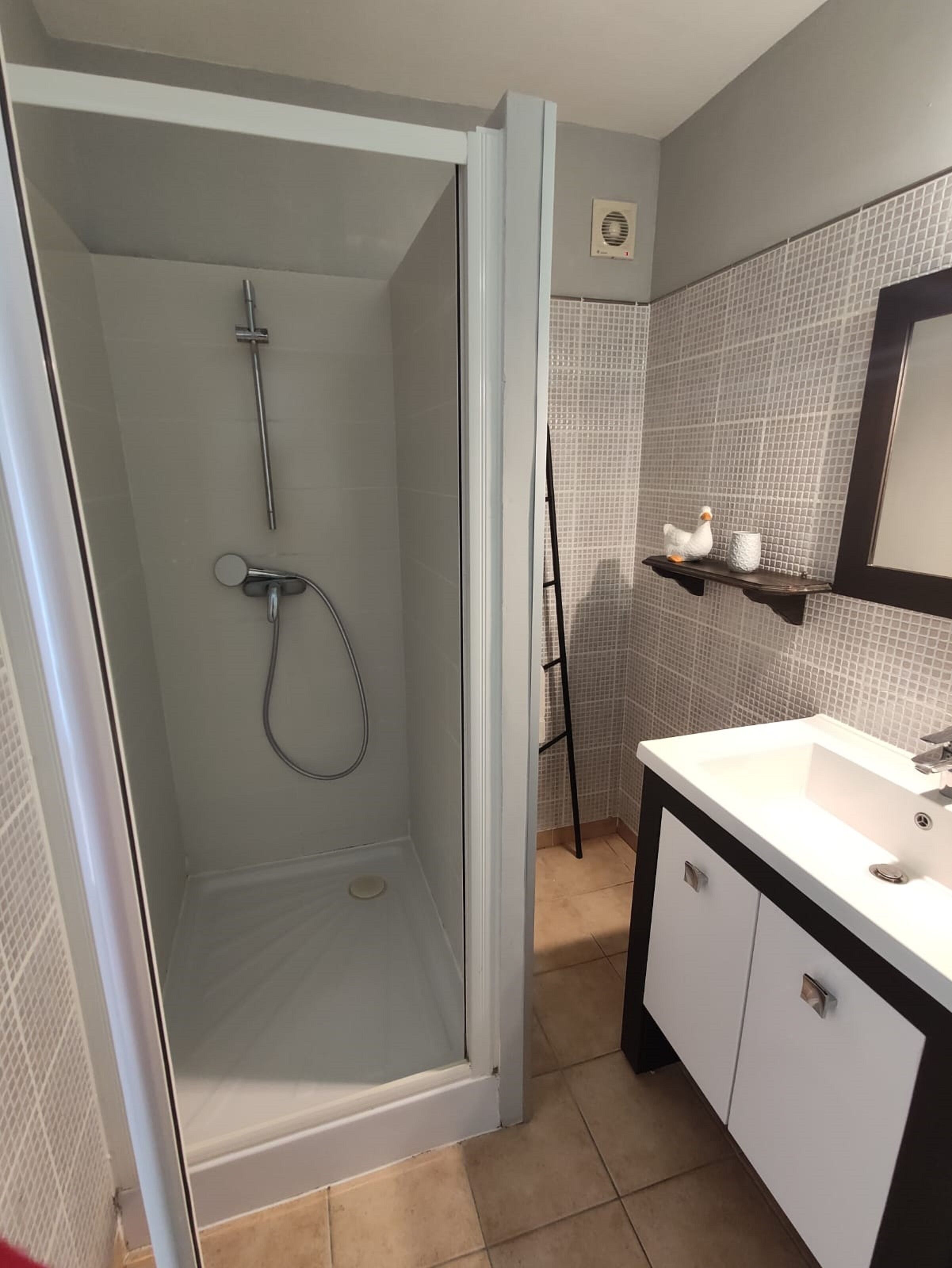 A bathroom with a shower, a sink, and a mirror.