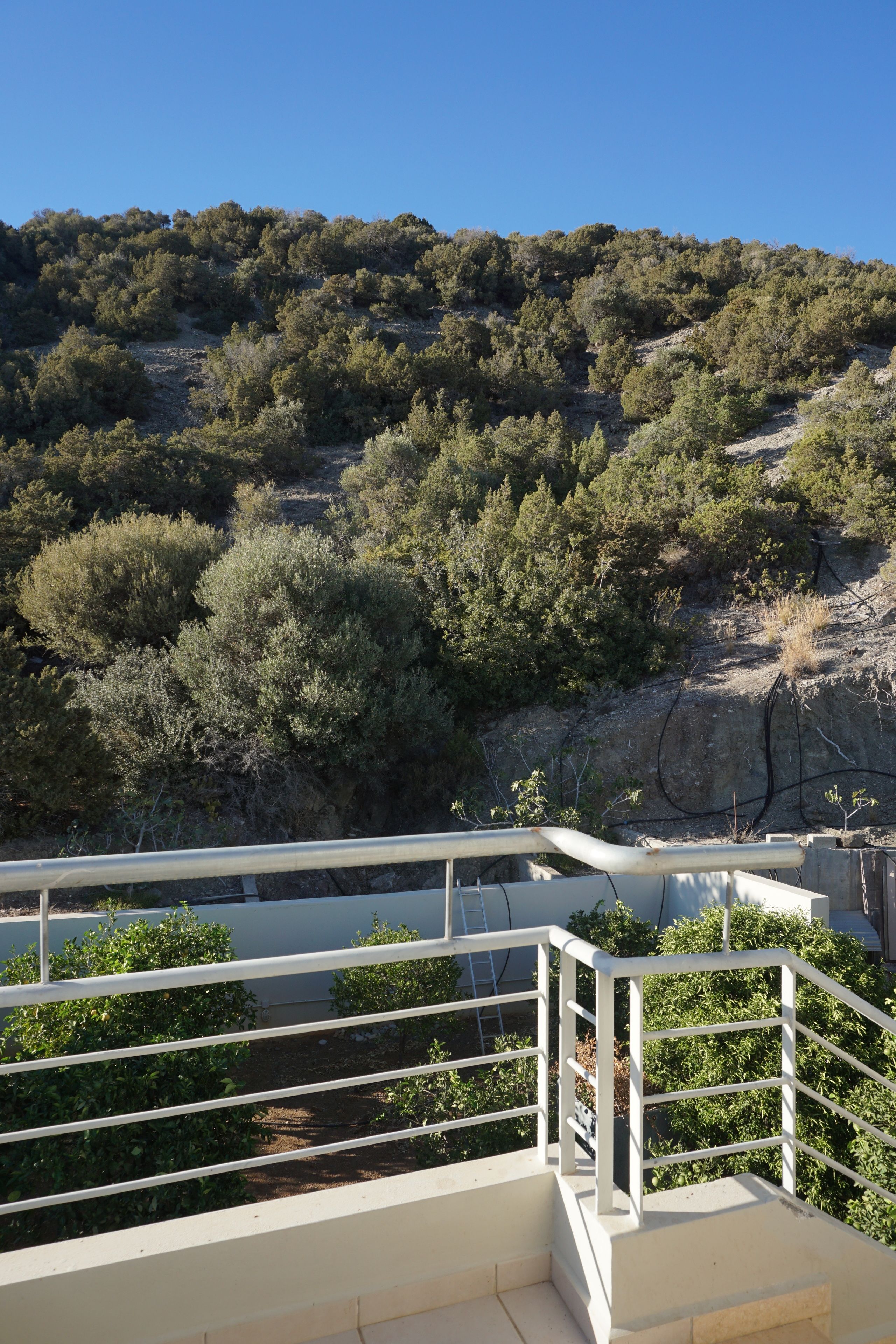 A balcony with a white railing overlooking a hillside with dense vegetation.