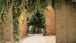Un sendero que atraviesa un arco de piedra cubierto de hiedra.