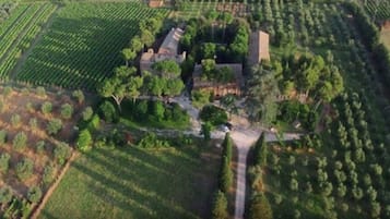 An aerial view of a vineyard with rows of grapevines, a central building surrounded by trees, and a narrow road leading to the property.