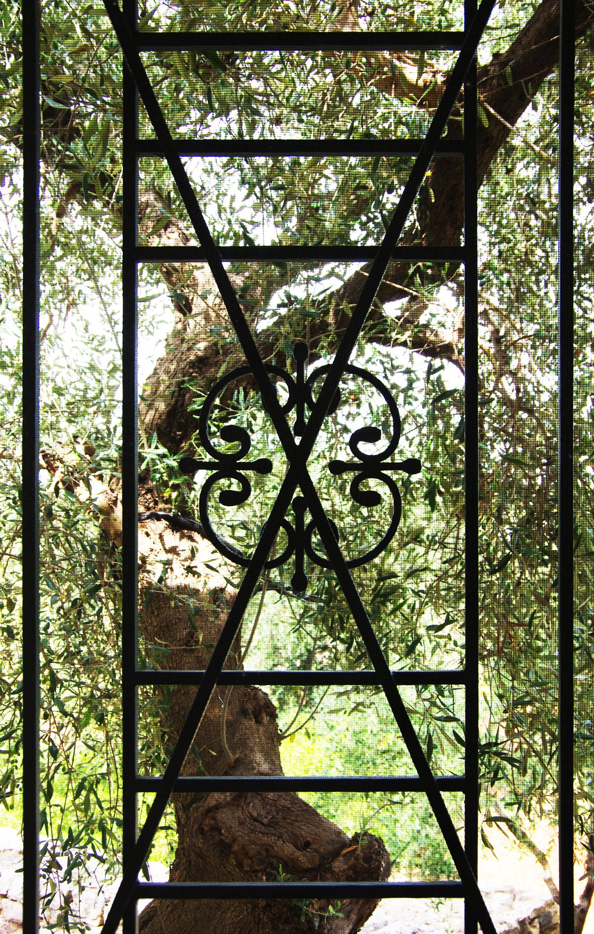 A wrought iron gate with a decorative design, set in a natural environment with trees and foliage.