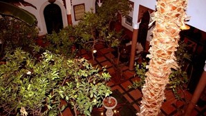 Pátio interno com plantas em vasos e um pilar decorativo.