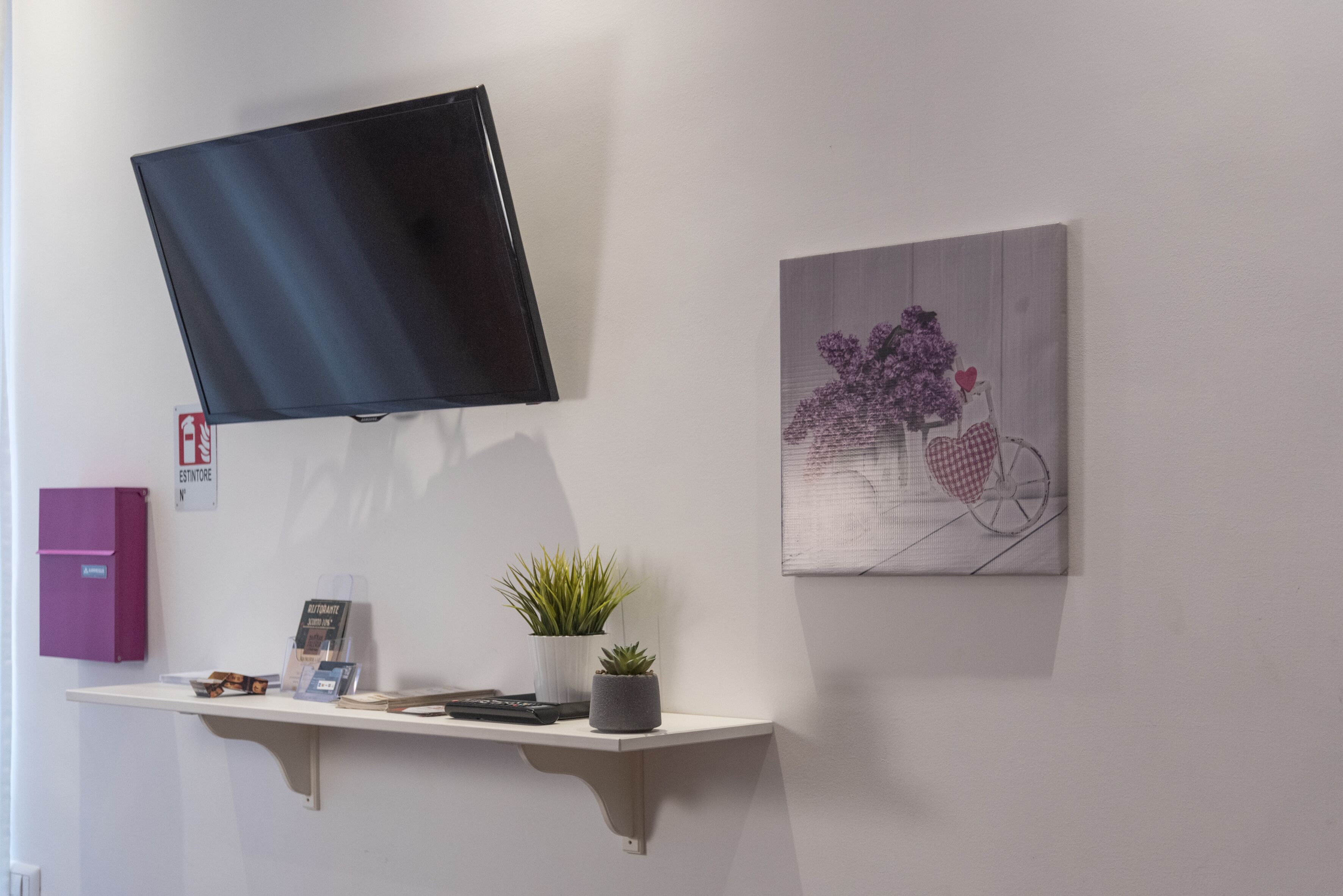 A wall-mounted TV, a shelf with a plant, a framed artwork, and a pink storage box.