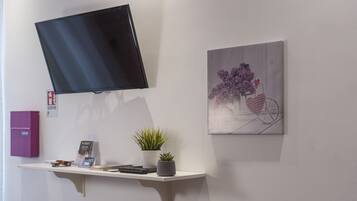 A wall-mounted TV, a shelf with a plant, a framed artwork, and a pink storage box.