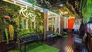 An indoor garden with a bench, a wooden deck, and a wall with greenery and the word "Ring" visible. - The Ring Residence (Hat Yai)