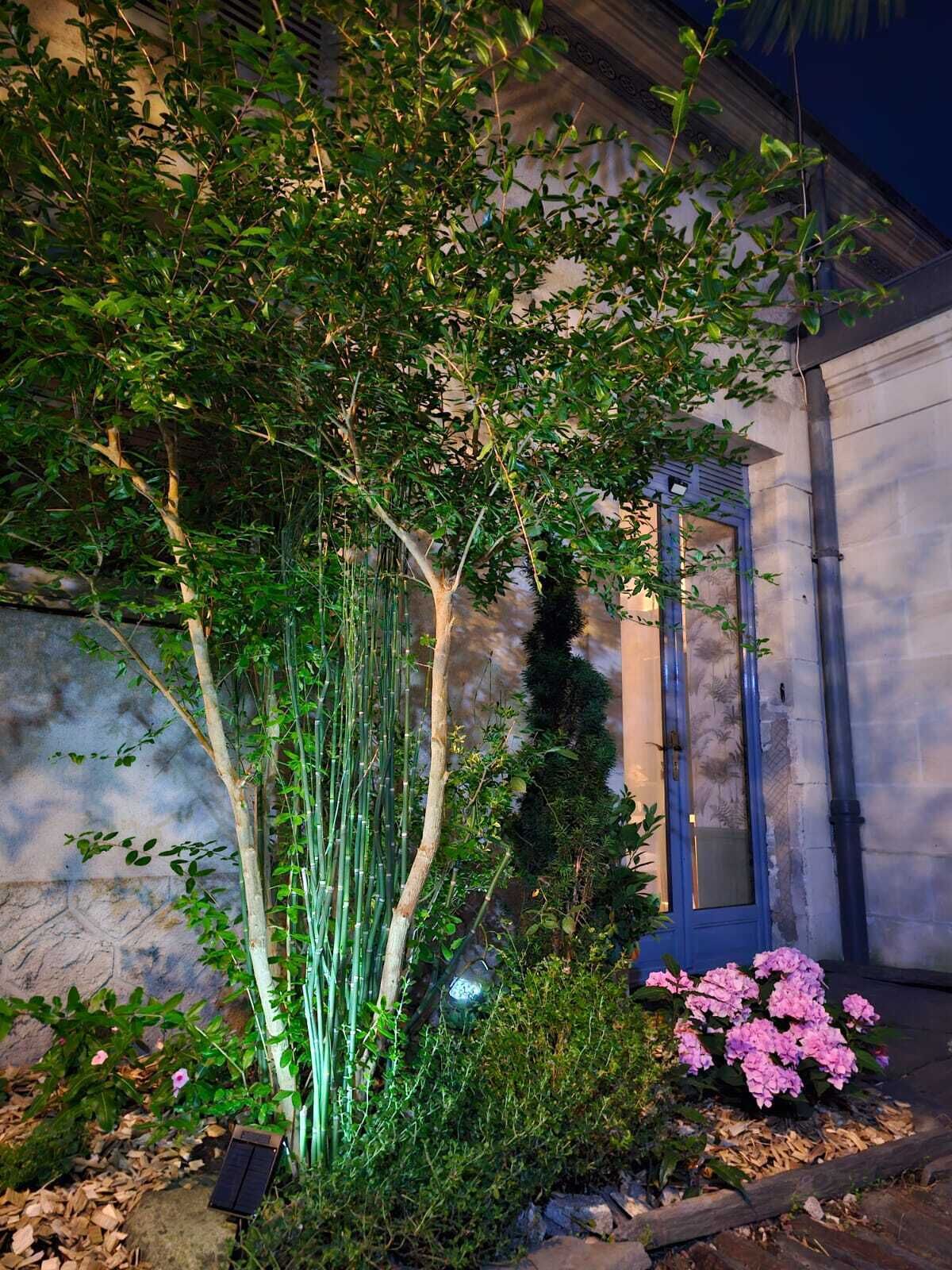 A garden with a variety of plants and a blue door.