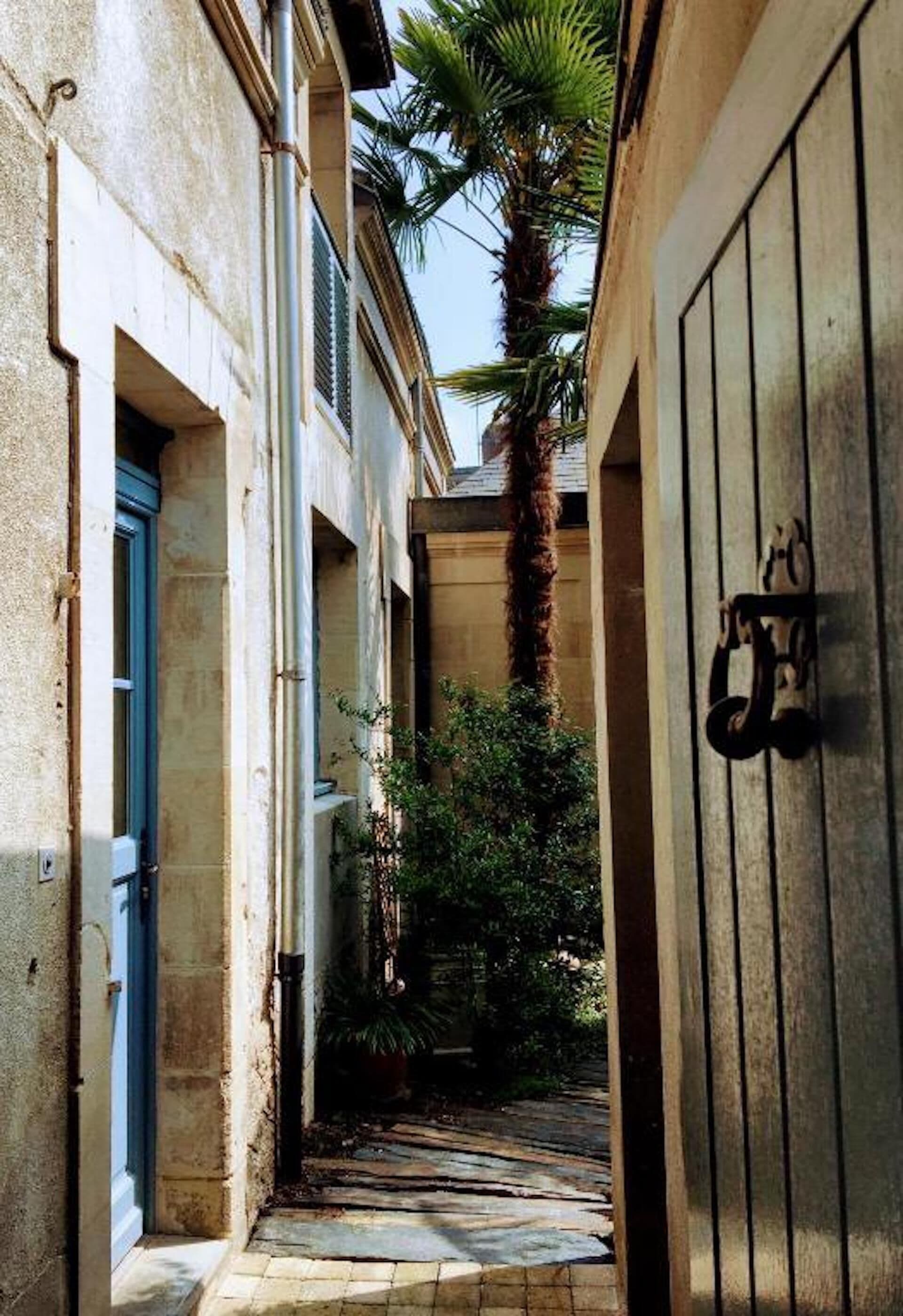 A narrow alleyway with a stone floor, a palm tree, and a wooden door with a metal handle.