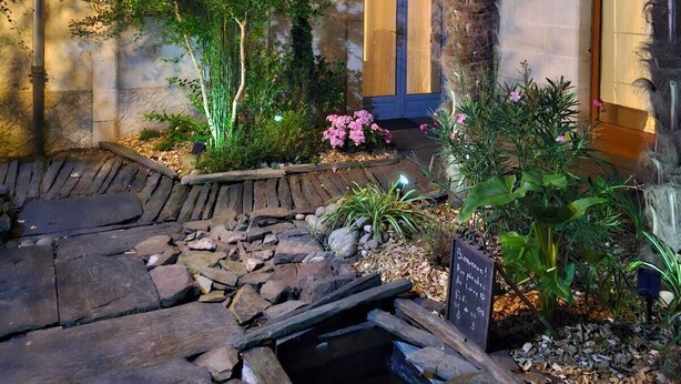 Un jardín cuidado con un sendero de piedra, palmeras y plantas con flores.
