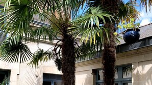 Un jardín con palmeras, plantas en macetas y un camino de piedra que lleva a la entrada de un edificio.