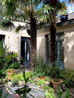 Um jardim com palmeiras, plantas em vasos e um caminho de pedra que leva à entrada de um edifício.