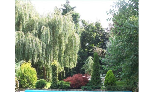 Double Room | Garden view