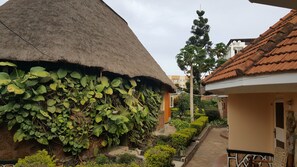 View from property - Phenicia Motel (Entebbe)