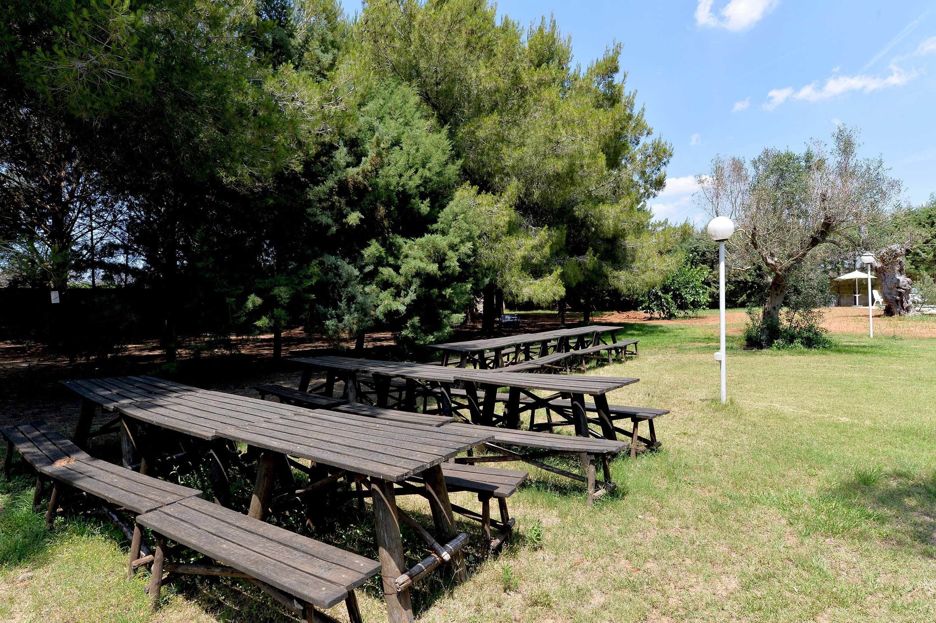 Un’area picnic con diversi tavoli e panche in legno, immersa tra alberi e un prato.