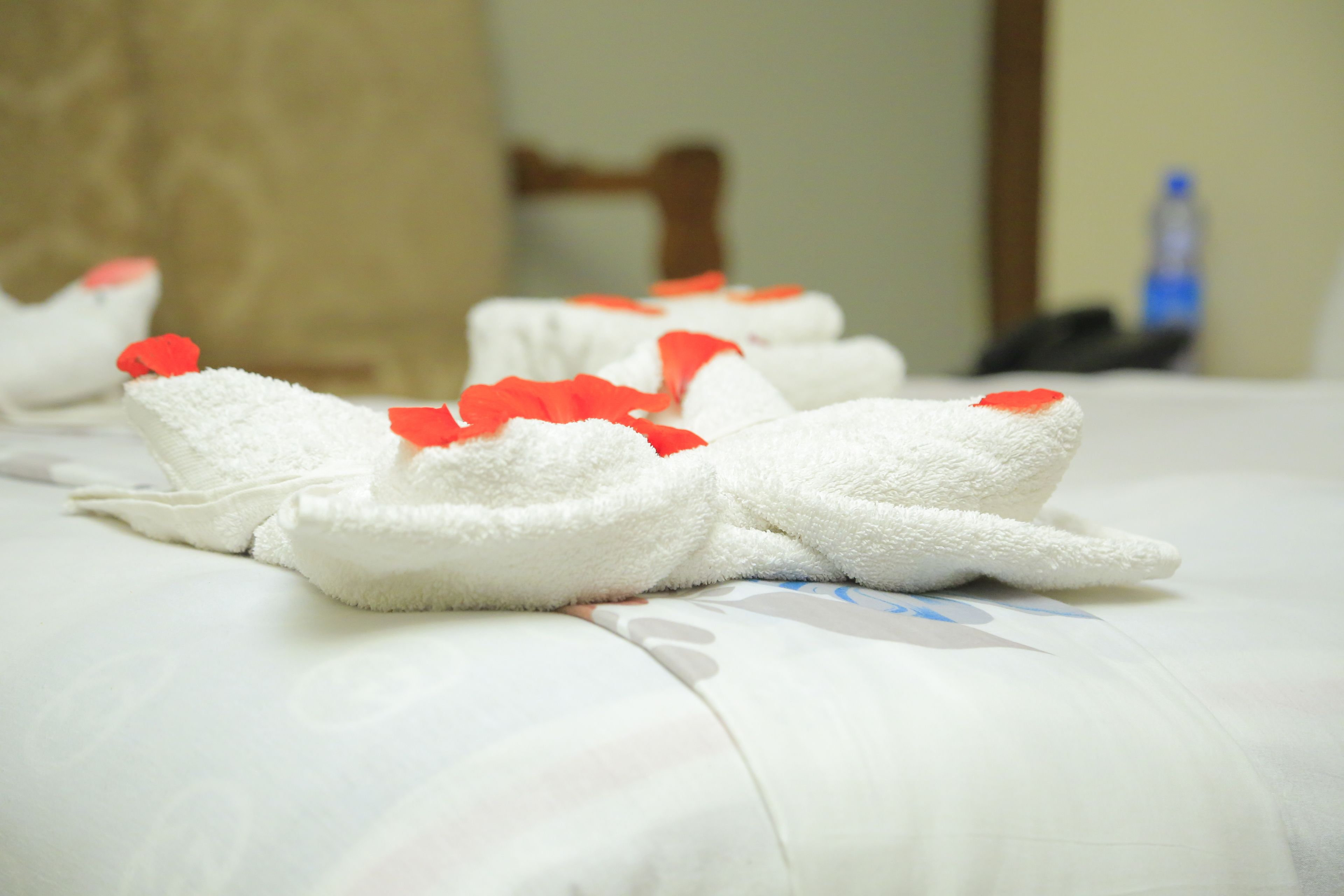 premium bedding, individually decorated, individually furnished, desk