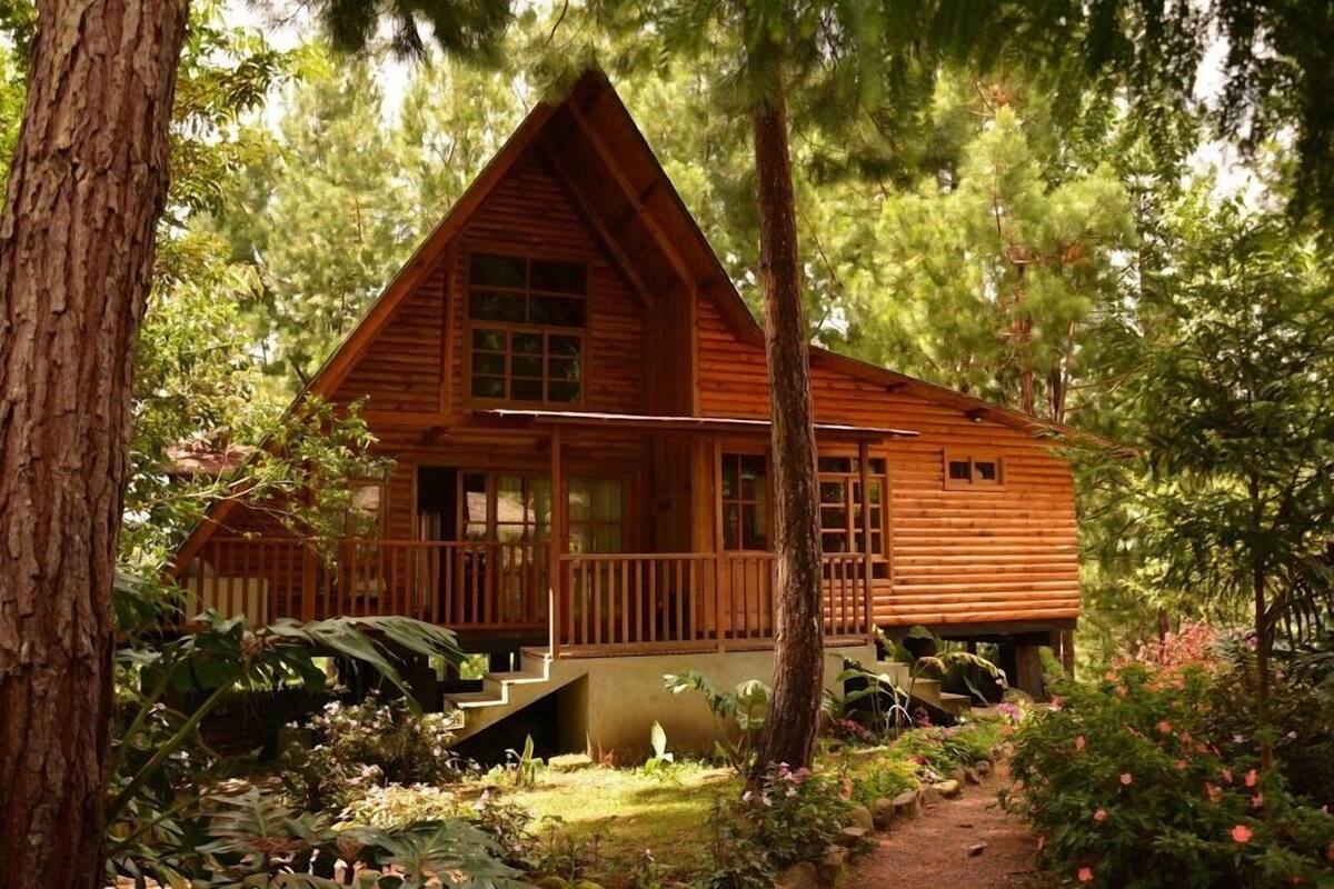 Cabane Confort