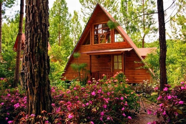 Chăn bông, trang bị nội thất với thiết kế riêng biệt