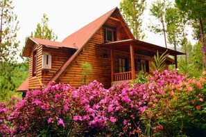 Down duvets, individually furnished, free WiFi, bed sheets - Altares de Oxapampa (Oxapampa)