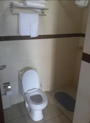 Et lille, rent badeværelse med toilet, vask og bruseområde.