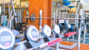 Un gimnasio con diverso equipo de ejercicio, incluyendo mancuernas, un banco y una jaula para sentadillas.