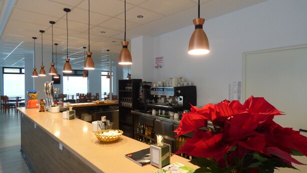 Eine moderne Bar mit Pendelleuchten, einer Kaffeemaschine und einer großen, roten Weihnachtsstern-Pflanze.