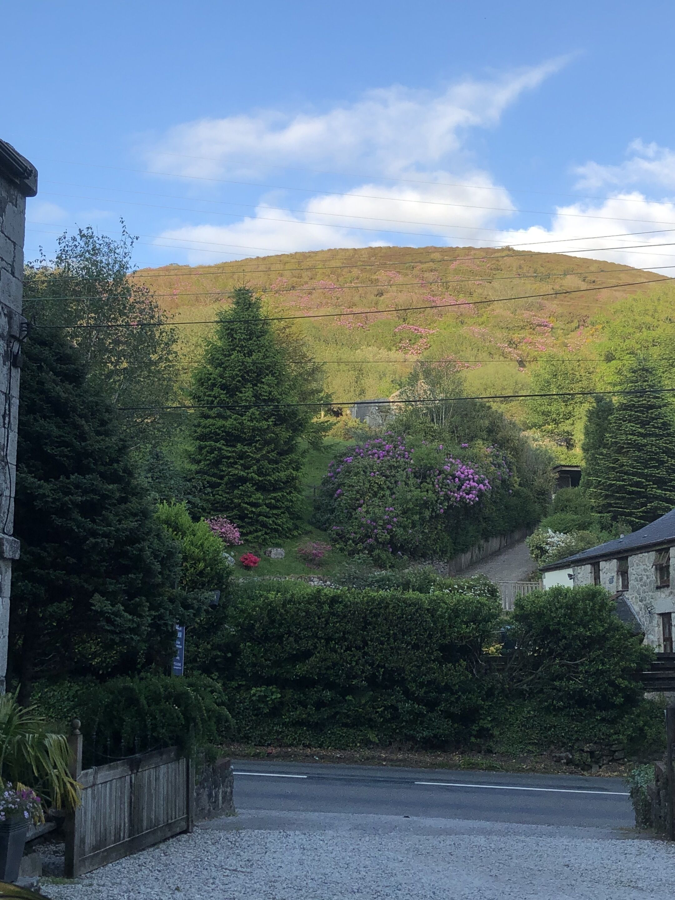 A rural road with a stone house on the right and a hill with pink flowers in the background.