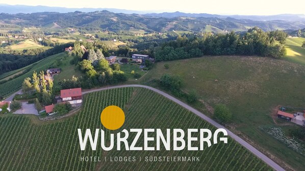 An aerial view of Wurzenberg with vineyards, a hotel, and a lodge.