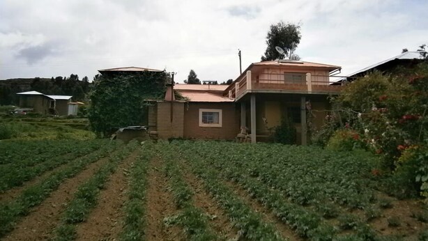 A rural house with a garden in front. - Samay Wasi Salakancha (Isla Amantani)