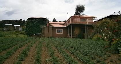 Samay Wasi Salakancha