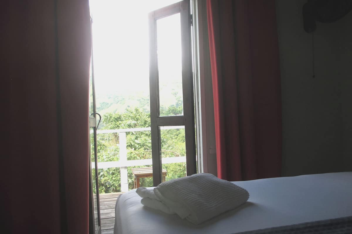A room with a bed, a window, and a view of greenery outside.