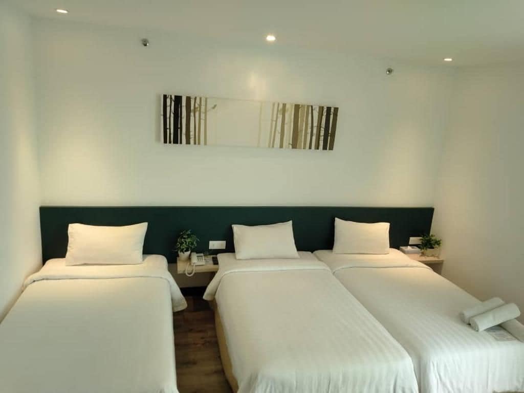 A hotel room with three single beds, a dark green headboard, a wall-mounted artwork, and a small bedside table with a plant.