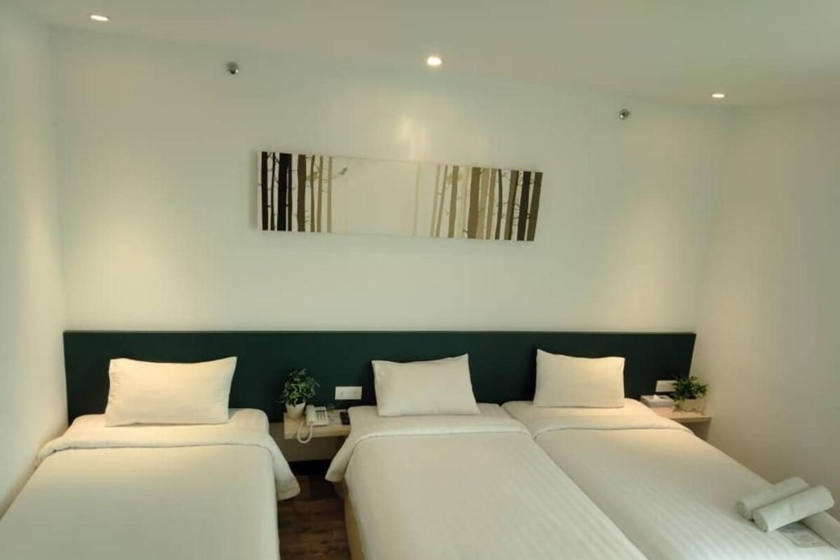 A hotel room with three single beds, a dark green headboard, a wall-mounted artwork, and a small bedside table with a plant.