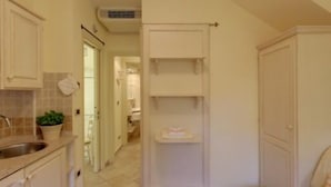 Una cocina compacta con un lavamanos, alacenas y una planta en maceta.