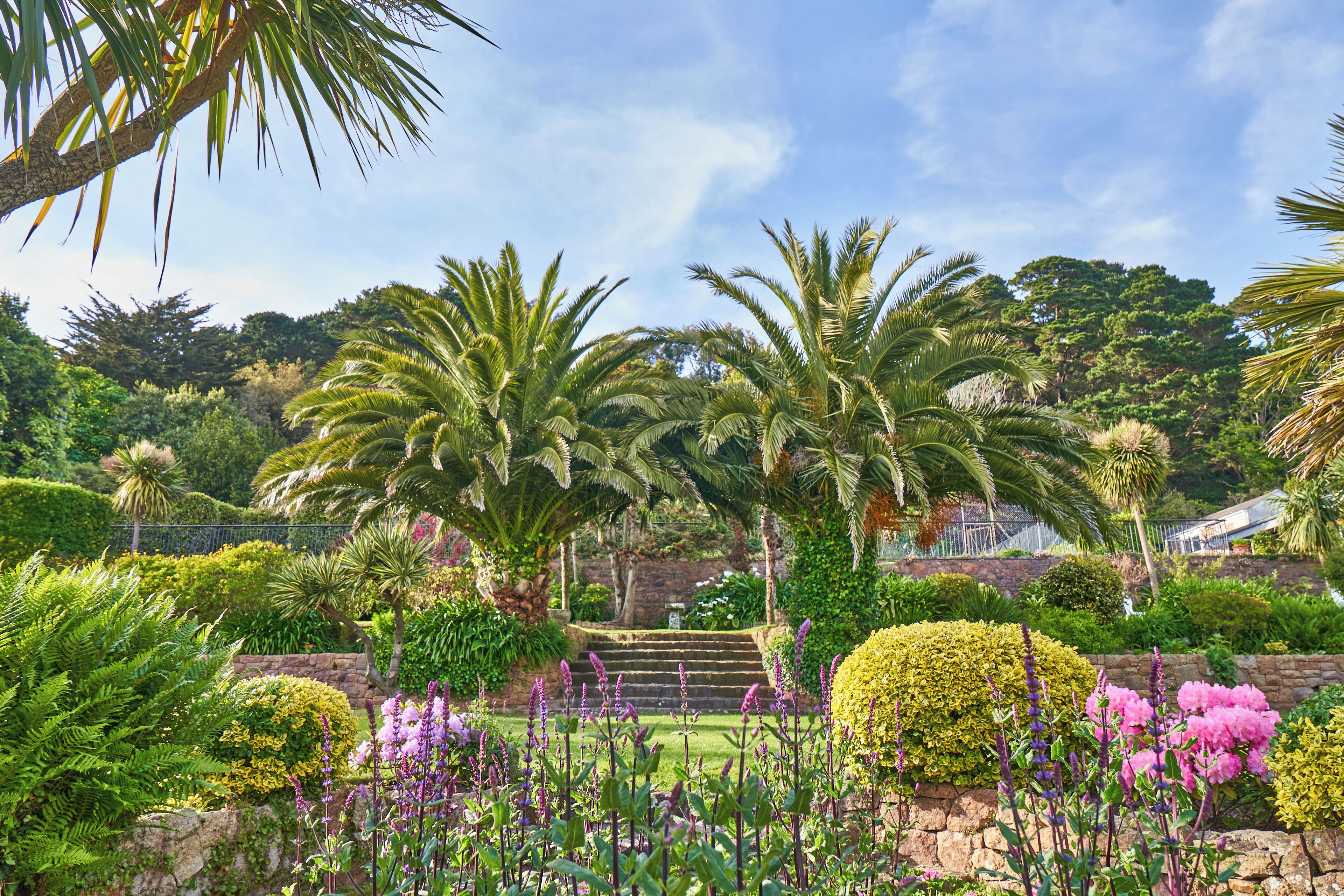 A garden with palm trees, a stone wall, and various flowering plants.