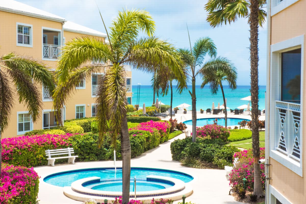 A pool area with a circular pool, palm trees, and a view of the ocean.
