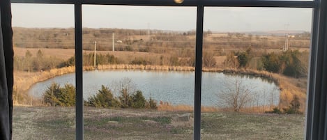 Vue de la chambre