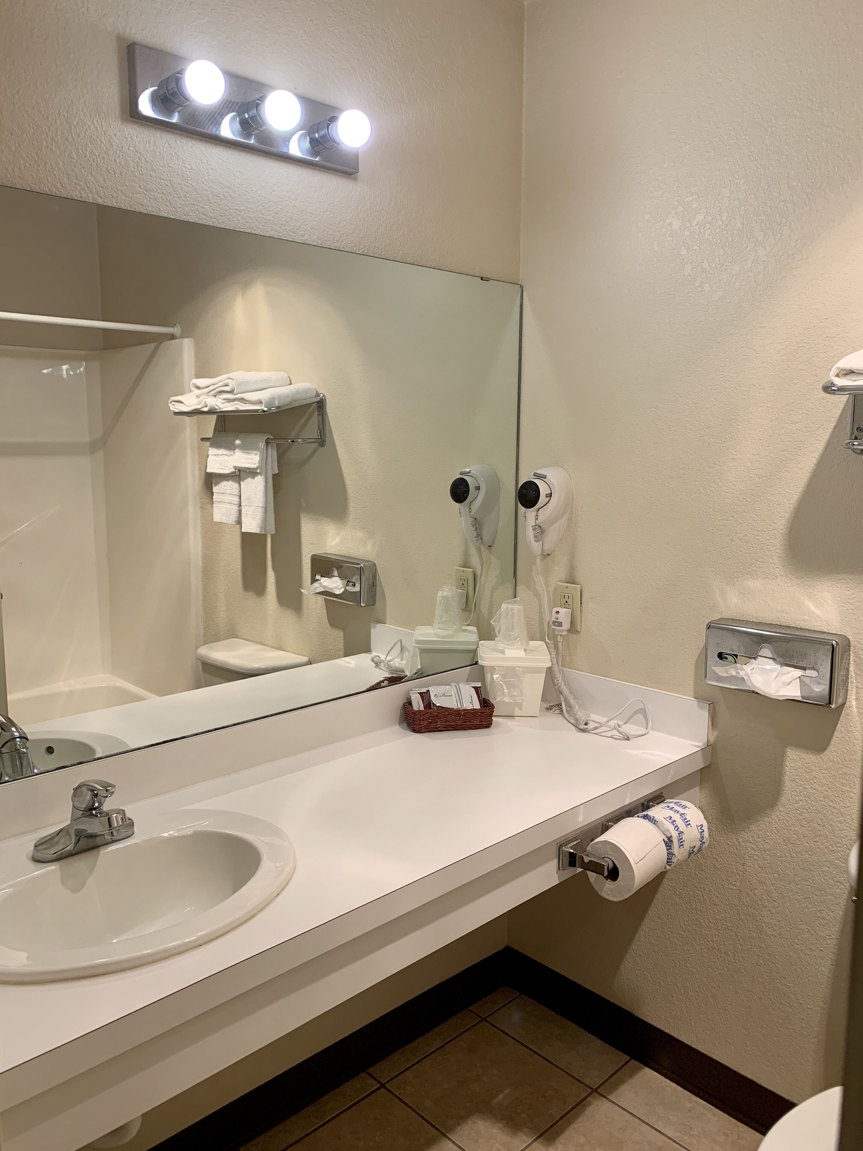 A bathroom with a white sink, a mirror, a hairdryer, a towel rack, and a toilet paper holder.