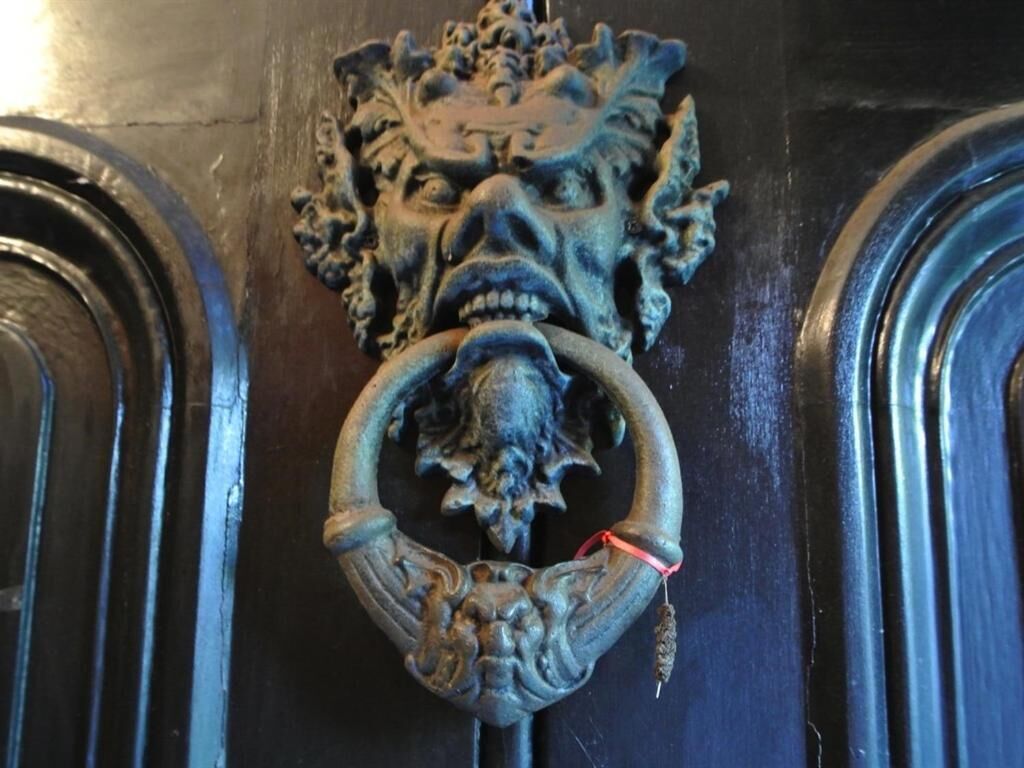 A door with a decorative metal knocker featuring a lion's head and a ring handle.