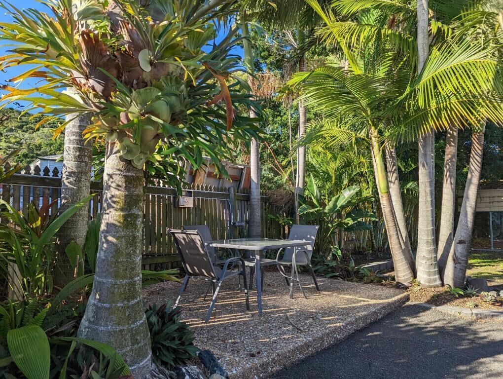 A patio area with a table and chairs, surrounded by palm trees and tropical plants.