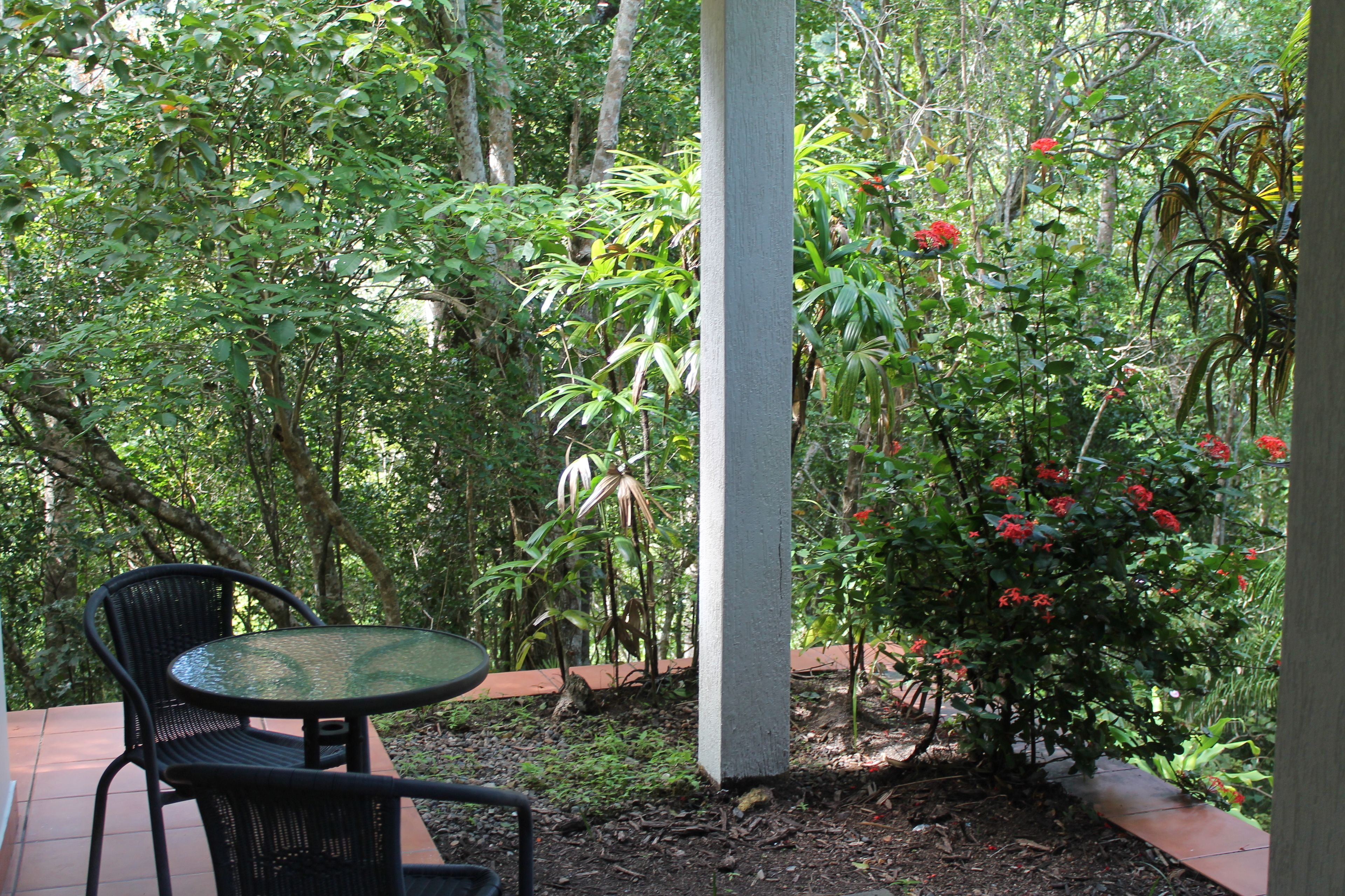 rainforest suite | property grounds