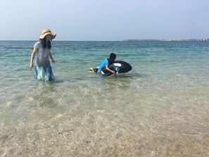 해변