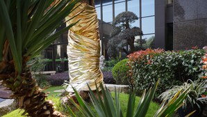 A garden with a variety of plants and a large tree wrapped in golden material. - New Knight Royal Hotel (Shanghai)