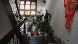 Un escalier agrémenté de plantes en pot et d’un élément décoratif mural.