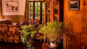 A wooden interior with a large wooden cabinet, a framed newspaper, and potted plants. - MF Estate Holiday Bungalow (Hali-Ela)